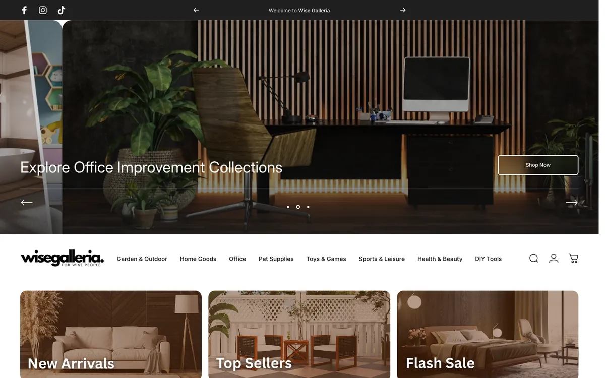 Screenshot of the Wise Galleria website